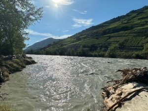 rhone_crues
